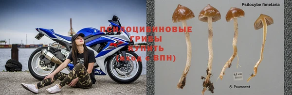 a pvp Заволжье