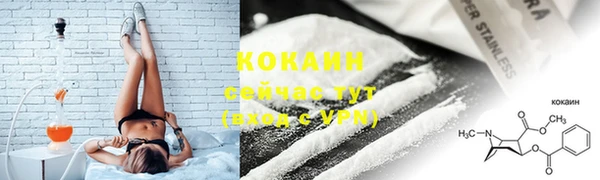 мяу мяу мука Зерноград