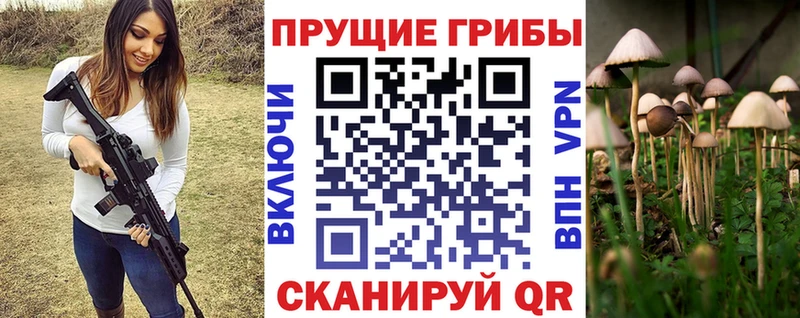 Купить  Мыски  Галлюциногенные грибы Cubensis 